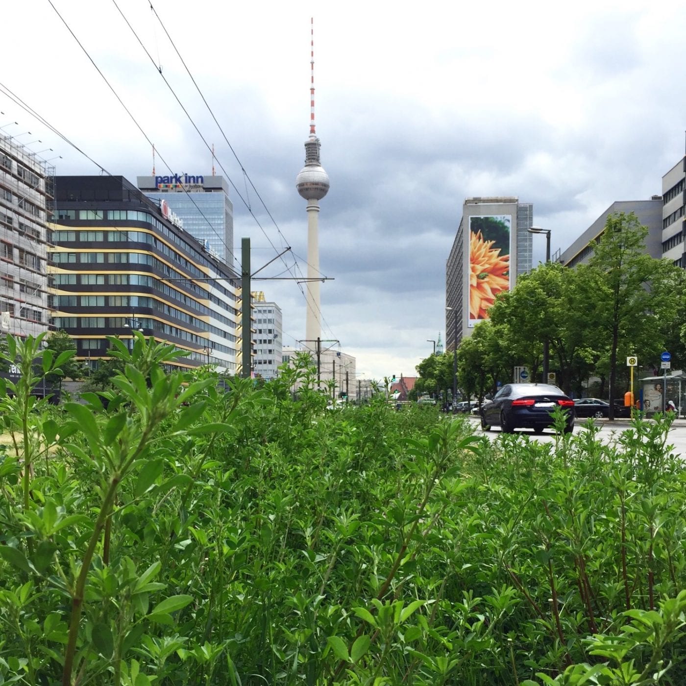 Berlin-Mitte: Blick in die Karl-Liebknecht-Straße Richtung Alexanderplatz, im Hintergrund der Berliner Fernsehturm (Foto: Eric Sturm)