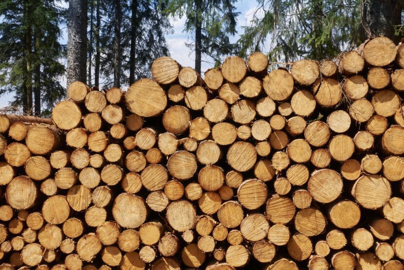 Holz verfügt als nachwachsender Baustoff über eine sehr gute Ökobilanz. weber.therm circle, das erste recyclingfähige WDV-System, ist nun auch mit Holzfaser-Dämmplatten verfügbar (Foto: iStock / acilo)